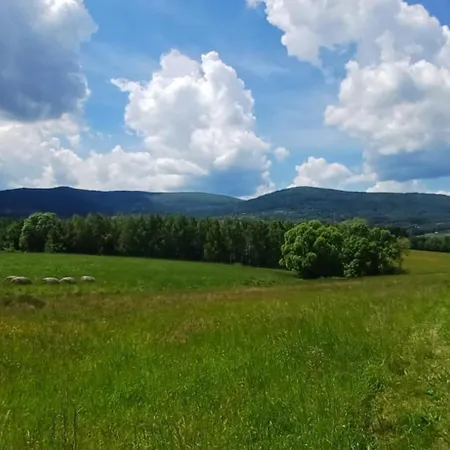Pod Gora Wisniowa (Myslenice)