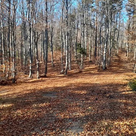 Pod Gora * Wisniowa (Myslenice)