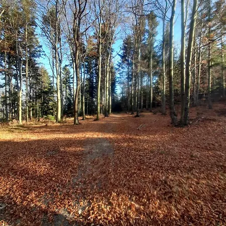 公寓 Pod Gora Wisniowa (Myslenice)