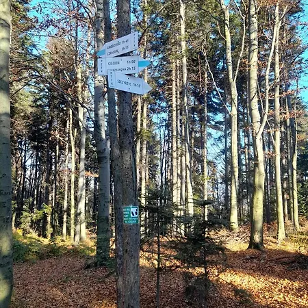 公寓 Pod Gora Wisniowa (Myslenice)