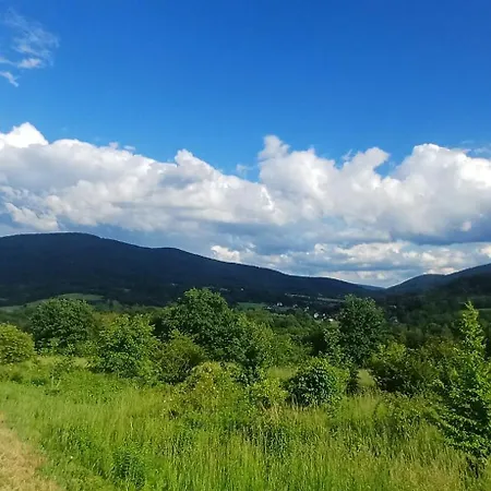 Pod Gora Wisniowa (Myslenice)