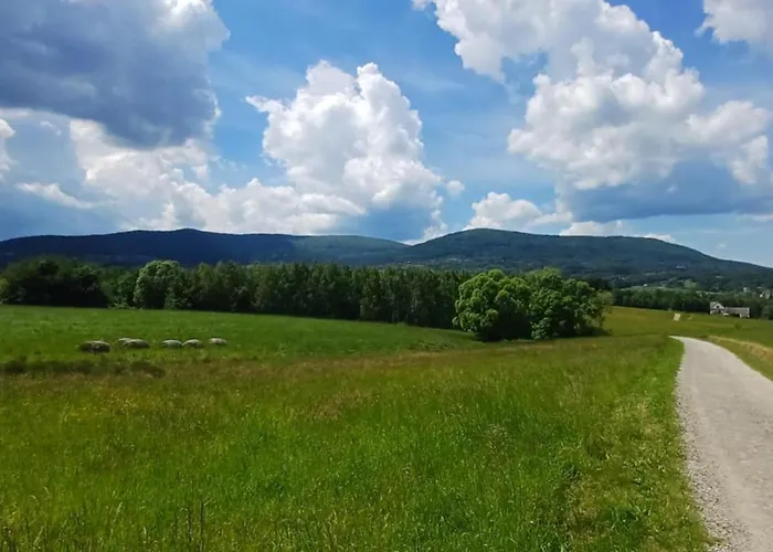 Pod Gora Wisniowa (Myslenice)