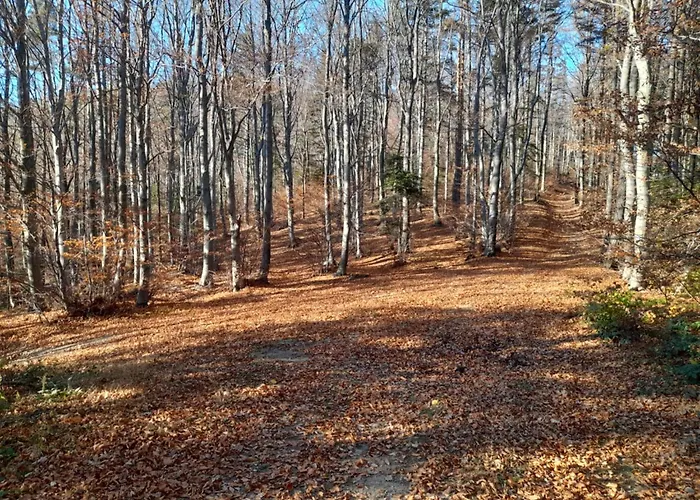 Pod Gora * Wisniowa (Myslenice)