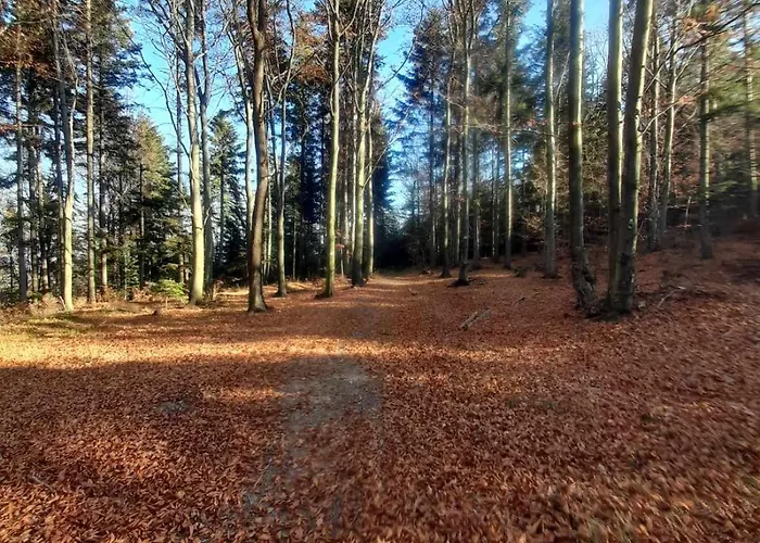 דירה Pod Gora Wisniowa (Myslenice)